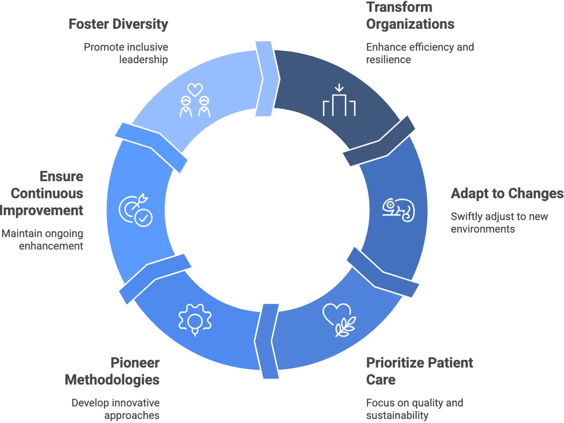 long-term vision for healthcare performance improvement