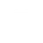 white audit icon
