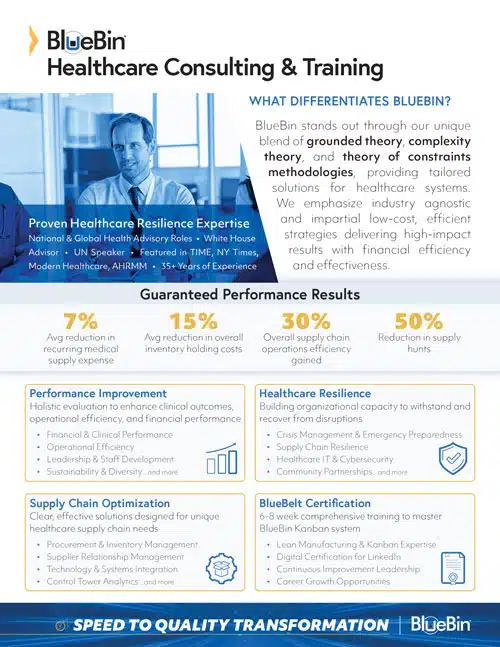 BlueBin Healthcare Consulting & Training one-sheet